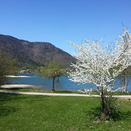 Buchauer-tirol / Buchauer Thiersee